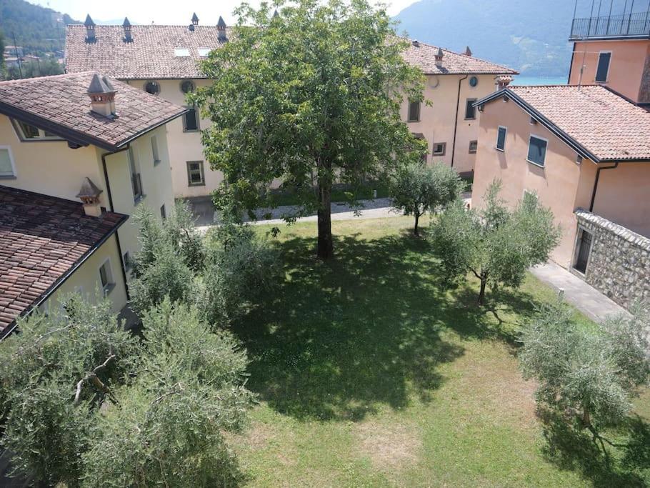 La Corte Del Cigno Monte Isola Eksteriør billede